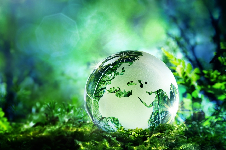 A sustainability image showing a green global on a leafy floor